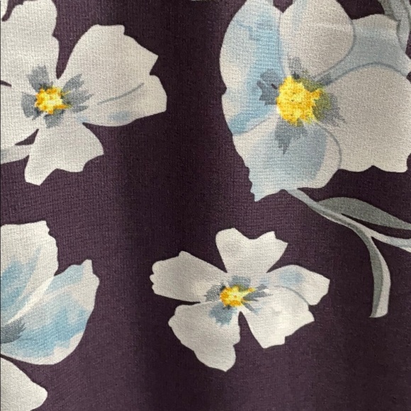 Elkery Dress XXL Fall 2020 CAbi #4018 - Picture 5 of 10